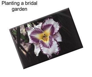 Planting a bridal garden