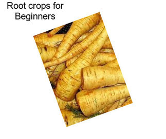Root crops for Beginners