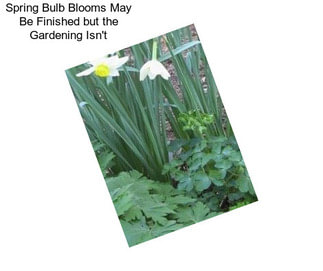 Spring Bulb Blooms May Be Finished but the Gardening Isn\'t