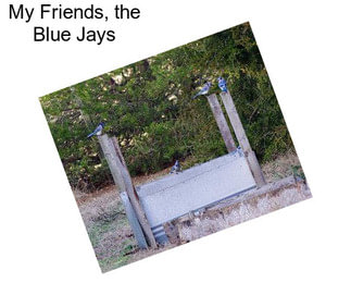 My Friends, the Blue Jays