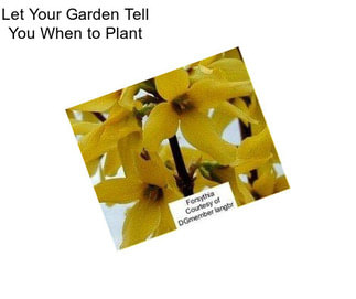 Let Your Garden Tell You When to Plant