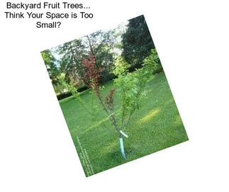 Backyard Fruit Trees... Think Your Space is Too Small?