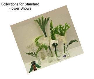 Collections for Standard Flower Shows