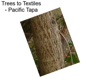 Trees to Textiles - Pacific Tapa