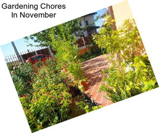 Gardening Chores In November