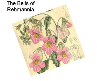 The Bells of Rehmannia