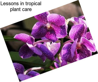 Lessons in tropical plant care
