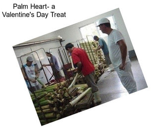 Palm Heart- a Valentine\'s Day Treat