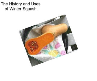 The History and Uses of Winter Squash