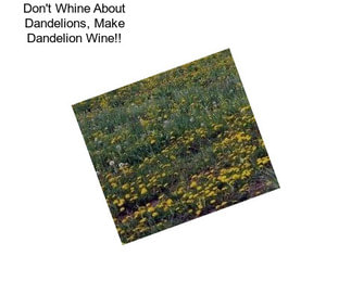 Don\'t Whine About Dandelions, Make Dandelion Wine!!