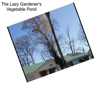 The Lazy Gardener\'s Vegetable Pond