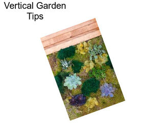 Vertical Garden Tips