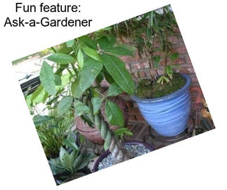 Fun feature: Ask-a-Gardener