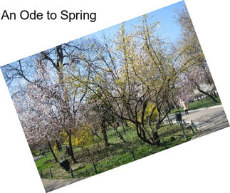 An Ode to Spring