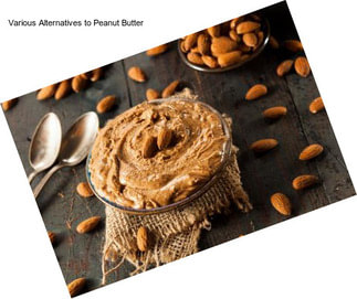 Various Alternatives to Peanut Butter