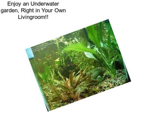 Enjoy an Underwater garden, Right in Your Own Livingroom!!