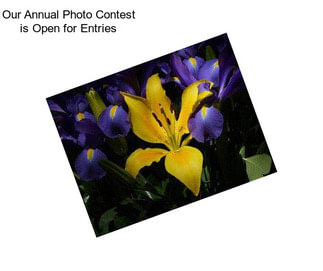 Our Annual Photo Contest is Open for Entries