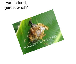 Exotic food, guess what?