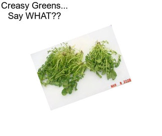 Creasy Greens... Say WHAT??