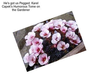 He\'s got us Pegged: Karel Capek\'s Humorous Tome on the Gardener