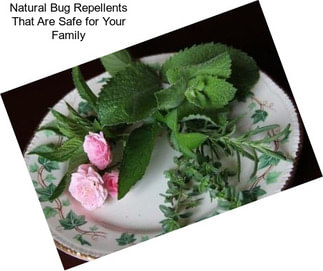 Natural Bug Repellents That Are Safe for Your Family