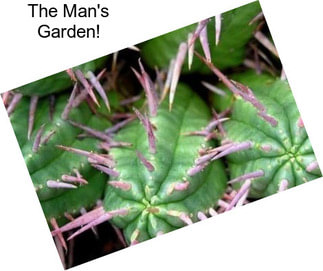 The Man\'s Garden!