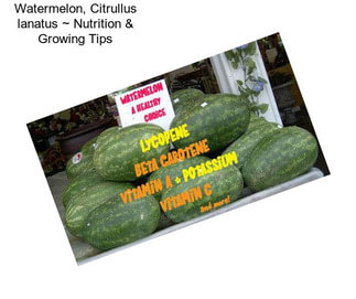 Watermelon, Citrullus lanatus ~ Nutrition & Growing Tips