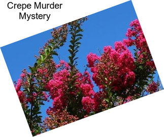 Crepe Murder Mystery