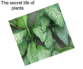 The secret life of plants