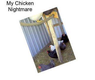 My Chicken Nightmare