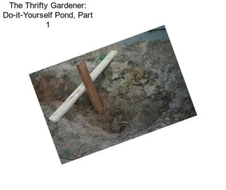 The Thrifty Gardener: Do-it-Yourself Pond, Part 1