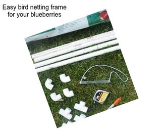 Easy bird netting frame for your blueberries