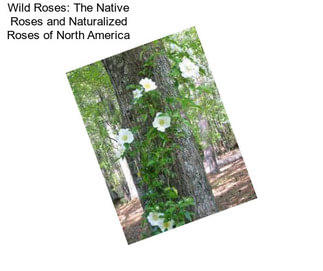 Wild Roses: The Native Roses and Naturalized Roses of North America