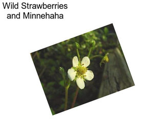 Wild Strawberries and Minnehaha