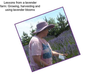 Lessons from a lavender farm: Growing, harvesting and using lavender blooms