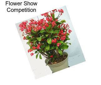 Flower Show Competition
