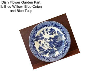 Dish Flower Garden Part ll: Blue Willow, Blue Onion and Blue Tulip