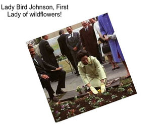 Lady Bird Johnson, First Lady of wildflowers!