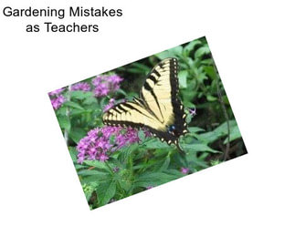 Gardening Mistakes as Teachers