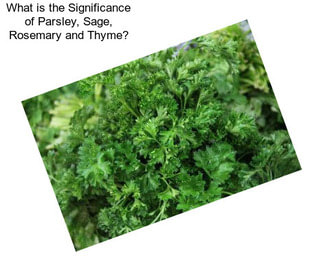 What is the Significance of Parsley, Sage, Rosemary and Thyme?