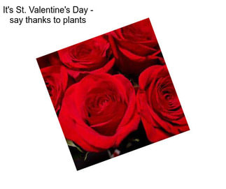 It\'s St. Valentine\'s Day - say thanks to plants