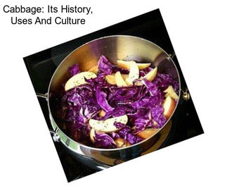 Cabbage: Its History, Uses And Culture