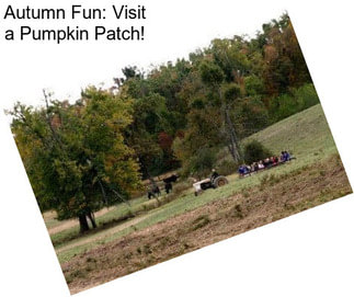 Autumn Fun: Visit a Pumpkin Patch!
