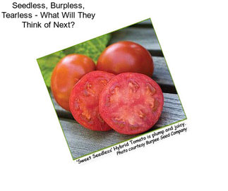 Seedless, Burpless, Tearless - What Will They Think of Next?