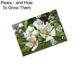 Pears - and How To Grow Them