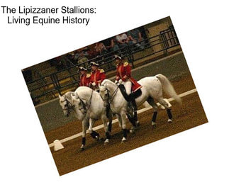 The Lipizzaner Stallions: Living Equine History