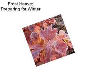 Frost Heave: Preparing for Winter