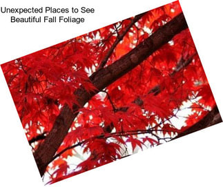 Unexpected Places to See Beautiful Fall Foliage
