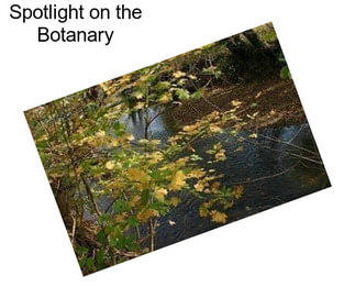 Spotlight on the Botanary