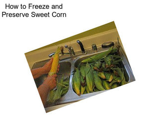 How to Freeze and Preserve Sweet Corn